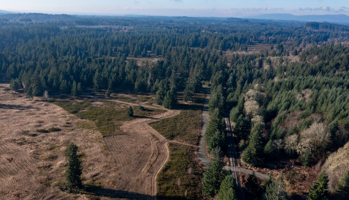 An aerial shot of a plot of land overlooking evergreen trees and flat land.