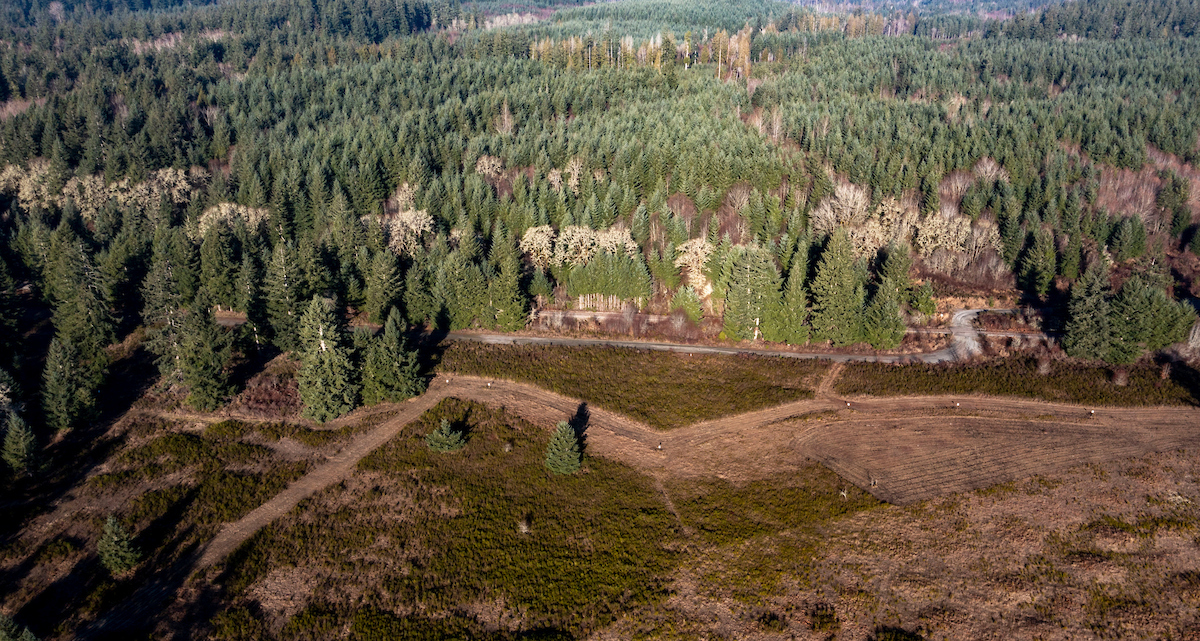 An aerial shot of a plot of land overlooking evergreen trees and flat land.
