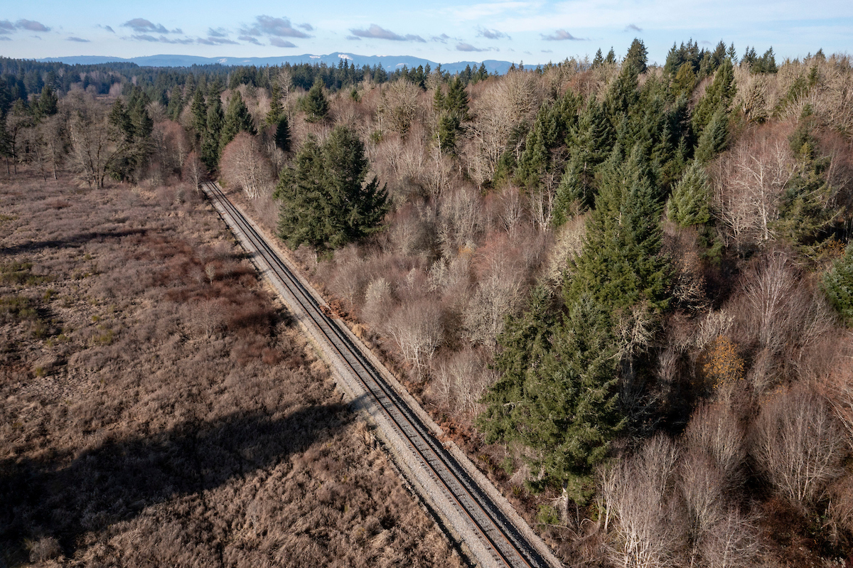 An aerial shot of a rail line cutting through trees and brush.