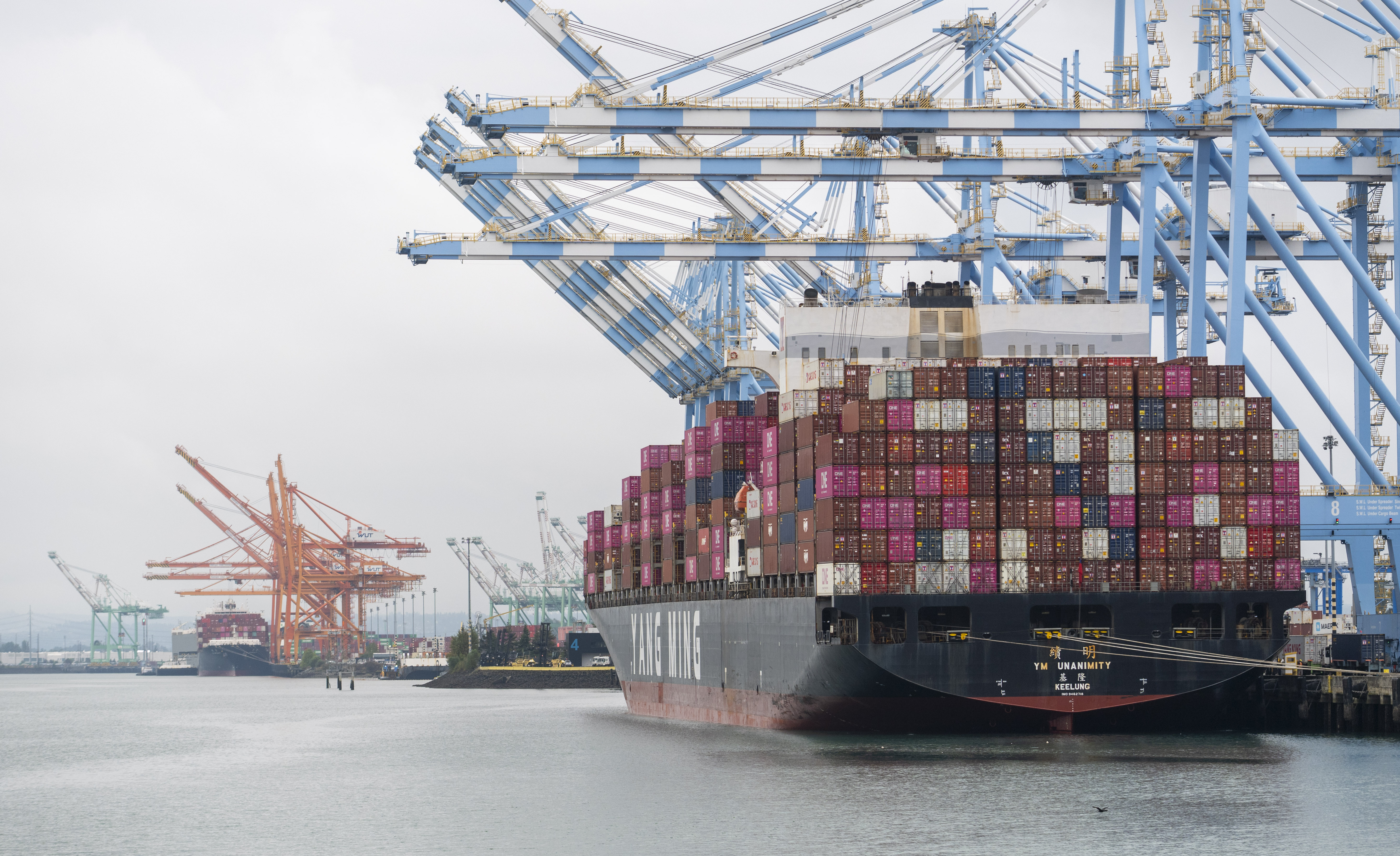Ships at berth at Husky and Washington United Terminals