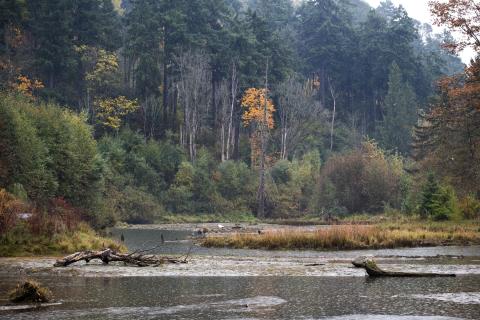 Place of Circling Waters